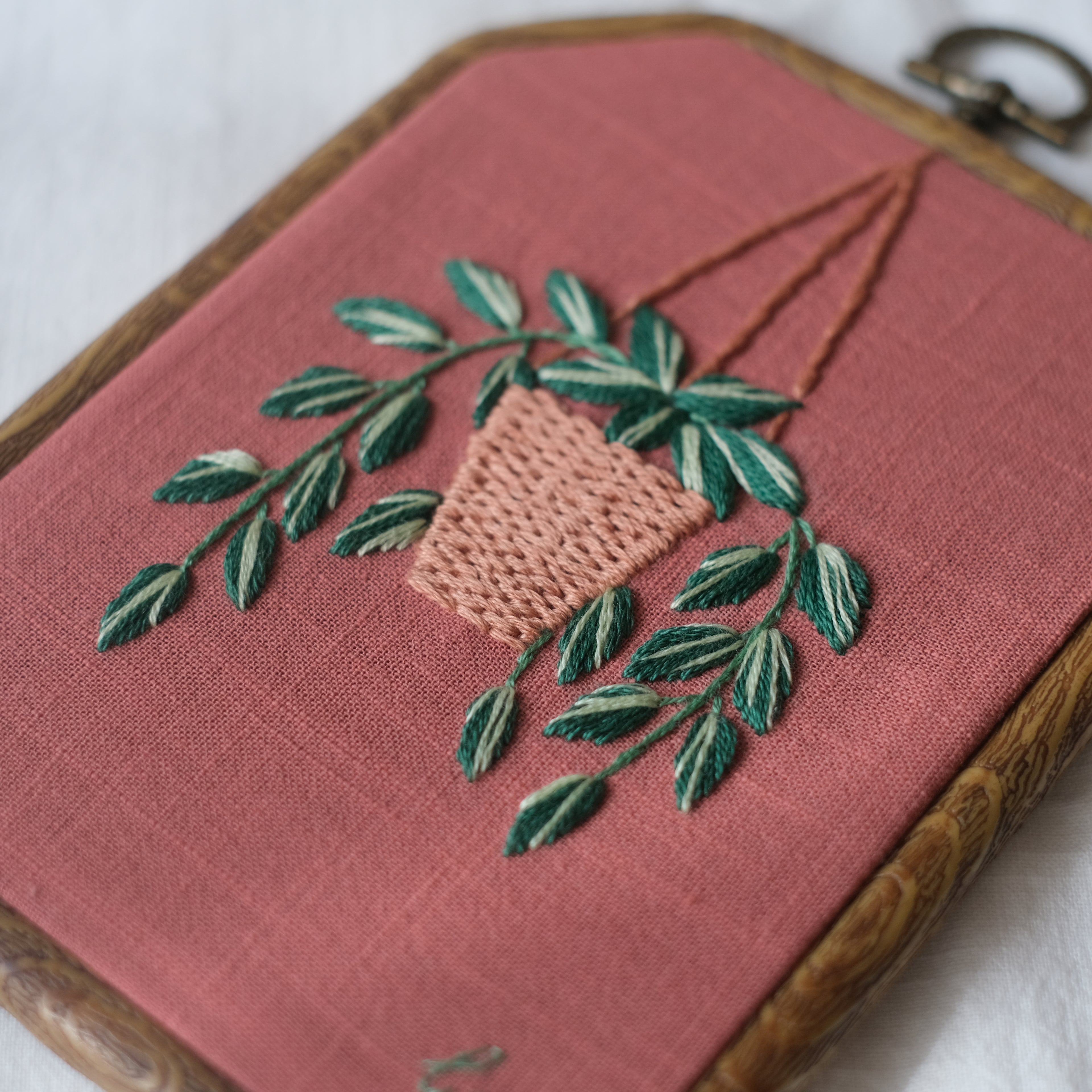 Scaffolding Plant Wall Hanging