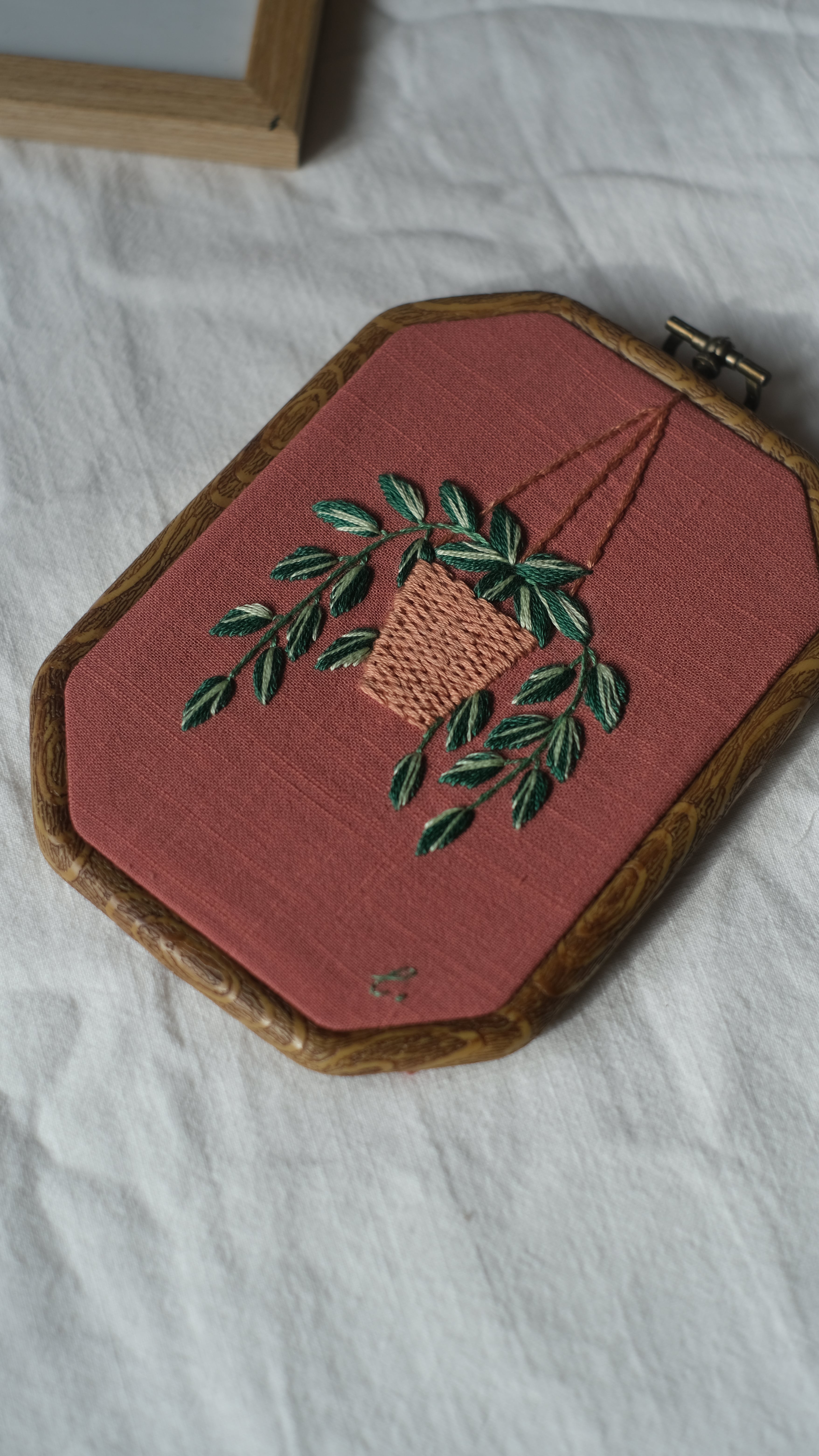 Scaffolding Plant Wall Hanging