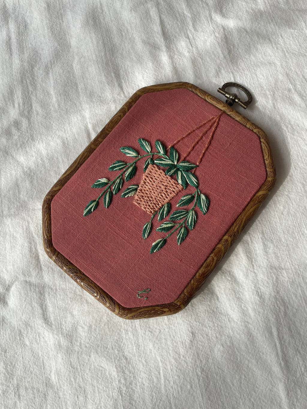 Scaffolding Plant Wall Hanging